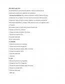 Mezcladores para tinto La empresa BVC S.A