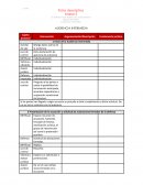 El defensor en el Sistema de Justicia Penal Etapa intermedia Audiencia Intermedia