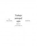 ¿Qué es el hombre? La importancia de la virtud en la Tesis Aristotélica