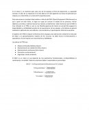 AYUDA PARCIAL MANTENIMIENTO