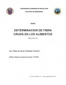 DETERMINACION DE FIBRA CRUDA EN LOS ALIMENTOS