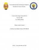 Ensayo sobre la Guerra (en contexto con la situación en Honduras)