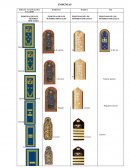 INSIGNIAS