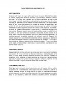 CARACTERÍSTICAS ANATÓMICAS DE: ARTERIA AÓRTA