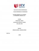 AUDITORIA AMBIENTAL EN LA EMPRESA DE TRANSPORTES “NOHELIA E.I.R.L”