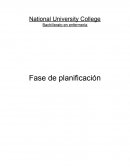 Bachillerato en enfermería Fase de planificación