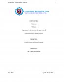 Importancia de las secciones de vigas frente al comportamiento de cargas externas