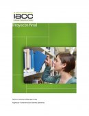 Proyecto final Sistemas Operativos