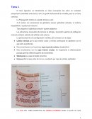 Fisiología Digestiva