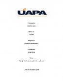 Trabajo Final: sobre malta india y kola real