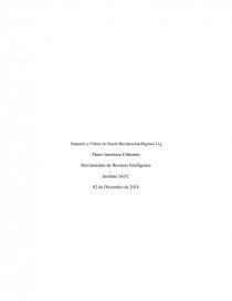 Reportes y Filtros en Oracle Business Intelligence. Página 1