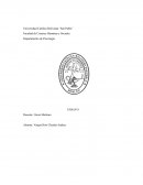 Departamento de Psicología. La violencia de género