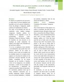 Movimiento plano general en modelos a escala de máquinas hidráulicas