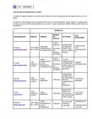 Actividad de Primer Módulo GF de UBP