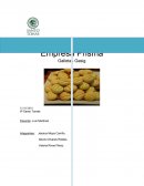 Estudio sobre la producción y comercialización de galletas sin gluten