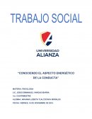 Conociendo el aspecto energético de la conducta