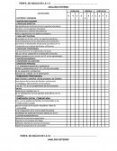 PERFIL DE ANÁLIS DE LA I. E