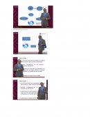 ¿Está la estructura de la empresa en la que trabajas concretada?