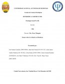 Ensayo sobre la violencia en Honduras