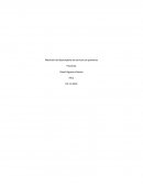 Medición del desempeño de servicios de posventa