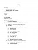 Análisis y Diagnóstico de la Situación. Sólo ÍNDICE