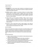 Caso “Leaves & breeze” S.A