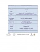 INVESTIGACION EN UNA EMPRESA PRÁCTICA 1(LA BODEGUITA)