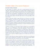 Analisis Video Circo de la Mariposa