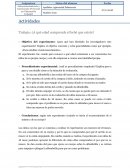 A qué edad comprende el bebé que existe?