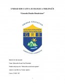 Educación sexual entre iguales