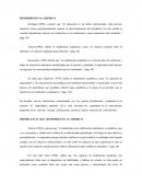 IMPORTANCIA DEL RENDIMIENTO ACADEMICO