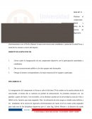 Realizar el campeonato fútbol y vóley