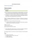 Resolución de problemas Colectivo docente