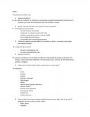 Clasificación de bellas artes