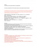 La cultura es la clave para entender una organización