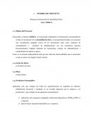 Sistema de información de Inmobiliaria RCA