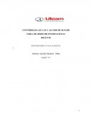 Implementación internacional De Normas en materia de contratos serbios