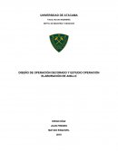 DISEÑO DE OPERACIÓN DECORADO Y ESTUDIO OPERACIÓN ELABORACIÓN DE ANILLO