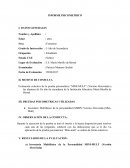 Ejemplo de Informe Psicologico