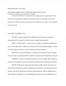 ORGANIZACIÓN Y CULTURA DECISIONES GERENCIALES Y PROCESOS ORGANIZACIONALES