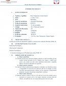 INFORME PSICOLÒGICO. Conocer los niveles de desarrollo cognitivo