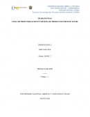 LINEA DE PROFUNDIZACION EN SISTEMA DE PRODUCCION BOVINO LECHE