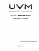 PRACTICA FORENSE DE AMPARO ACT.8 PROYECTO INTEGRADOR