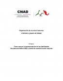 Cómo apoyar la implementación de las Habilidades Socioemocionales (HSE) a través de nuestra función docente