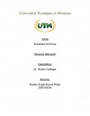 Sociedad Anónima Derecho Mercantil