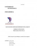 Perspectivas metodológicas y métodos de investigación