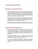 Lineamientos estratégicos SBU