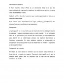 Plan Operativo Anual (POA)