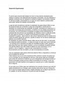 Desarrollo experimental análisis de gases