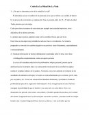 Crisis a la Mitad de la Vida